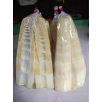 ราคา หน่อไม้เผาอัดถุง หน่อกิมซุง พร้อมส่ง ถุงละ1000g 1กิโล สดจากสวน (22179170601)