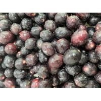 ราคา มะม่วงหาวมะนาวโห่ออร์แกนิค มะม่วงหาวมะนาวโห่อินทรีย์ 1000กรัม (19705136827)