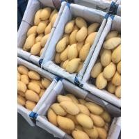 ราคา มะม่วง น้ำดอกไม้ โชคอนันต์ มหาชนก 1กิโล หอมหวานอร่อย สด สะอาด (14559878575)