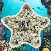 ราคา หินตกแต่ง หินรองพื้นตู้ปลา แต่งตู้ปลา ตู้ไม้น้ำ โหลปลากัด (21407367047)