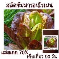 ราคา 100 เมล็ด เมล็ดพันธุ์สลัดซิมมารอนโรเมน Cimmaron Romaine Lettuce (21956289671)