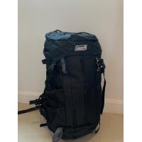 ราคา กระเป๋าเดินทาง กระเป๋าเดินป่า แบ็คแพค the north face 40ลิตร (19899639046)