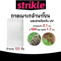 ราคา ถาดเพาะกล้านาโยน มี 2 แบบให้เลือก 434 หลุม และ 561 จำนวน 100 ชิ้น ถาดเพาะกล้า ถาดเพาะต้นข้าว ถาดนาโยน ถาดเพาะนาโยน เพาะกล้าข้าว เหนียว ทนทาน (21998749432)