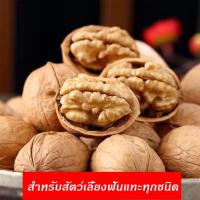 ราคา วอลนัท อาหารนกแก้ว อาหารสัตว์ฟันแทะ วอลนัทธรรมชาติ 100 สำหรับหนูแฮมสเตอร์ กระต่าย กระรอก นก ชุด 5 ลูก (16297562119)