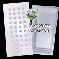 ราคา กล่องโฟมปลาแซลมอน กล่องโฟม ลังโฟม กล่องเก็บความเย็น กล่องโฟมเก็บความเย็น foam cooler box ปลูกผัก (22222893562)