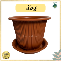 ราคา กระถางฮีโร่ Hero ขนาด 8 นิ้ว กระถางต้นไม้พลาสติกพร้อมจานรองกระถาง กระถางต้นไม้มินิมอล กระถางต้นไม้ ฮีโร่ กระถางฮีโร่ กระถางแต่งบ้าน ตกแต่งสวน แต่งห้อง แต่งคอนโด พลาสติกหนา (20598026100)