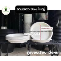 ราคา จานรองกระถาง ใหญ่ สีขาว จานรองกระถาง air pot (20475068315)