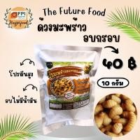 ราคา ด้วงมะพร้าวอบกรอบ LOVEBUG ขนาด 10 กรัม ไร้น้ำมัน กรอบอร่อย สะอาด แมลงอบกรอบ (21396640032)