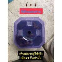 ราคา ที่ดักแมลงสาบ กับดักแมลงสาบ ดักแมลงสาบ กล่องดักแมลงสาบ กำจัดแมลงสาบ แมลงสาบ ไม่มีเหยื่อล่อ นำกลับมาใช้ใหม่ได้ (14463257003)