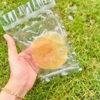 ราคา ปลาริวกิวแผ่นกลม ปลาริวกิวหวาน ปลาจากทะเลชุมพร ขนาด 30 กรัม (22113956401)