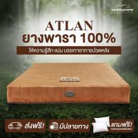 ราคา Bedisupreme ที่นอนยางพาราแท้ 100 Latex หนา 7 นิ้ว 9 นิ้ว หุ้มผ้า Cotton Velour กันไรฝุ่น ไม่ใช่ยางพาราอัด ขนาด 3 5 ฟุต 6 ฟุต รุ่น ATLAN ผ่อน0 ฟรี (22057294080)