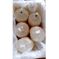 ราคา Pre order 10 days วัน นมแพะแท้ ๆ สด ๆ นมแพะดิบแท้ 100 จากฟาร์มแพะ จ สระบุรี ขั้นต่ำ 3 โล Fresh Goat Milk Freeze Minimum 3 kg (21953399910)