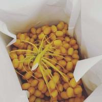 ราคา อินทผลัมสด หวาน กรอบ ต้นพันธุ์แลป เกรดA พันธ์บาฮีผลสด ต้นพันธุ์เพาะเมล็ด สวนจำลองอินทผลัมการันตี (8991689539)