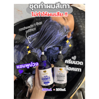 ราคา ชุดทำสีเทา MARTINA แชมพูม่วง ครีมนวดเทา ขนาดกลาง 400 ml (18353432802)
