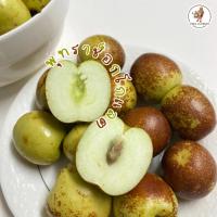 ราคา พุทราช็อกโกแลตking size 1 กก เกรดพรีเมียม ลูกโต หวาน กรอบ (10464739791)