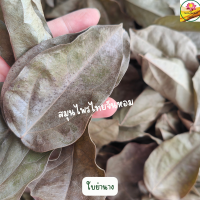 ราคา ใบย่านาง ย่านาง ใบย่านางอบแห้ง ขนาด 500 กรัม (18501403826)
