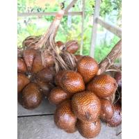 ราคา โปร สละอินโดสายน้ำผึ้ง ตัดสดใหม่ กรอบ หวาน 1 กก (20505304201)