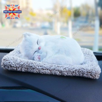 ราคา ตุ๊กตาดับกลิ่น ตุ๊กตาดูดกลิ่น ตุ๊กตาหน้ารถ แมวดูดกลิ่นรถ แมวดับกลิ่นรถ ตุ๊กตาดับในรถ ตุ๊กตาแมวดับกลิ่น ตุ๊กตาดับกลิ่นในรถยนต์ (22099001330)