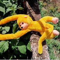 ราคา Yok thip ลิง ลิงตัวใหญ่ ลิงของเล่น ลิงร้องได้ ลิงกอดคอ ตุ๊กตาลิง ตุ๊กตาผ้า ลิงผ้าขน ลิงน่ารัก ตุ๊กตาลิงของเล่นเด็ก ลิงร้องเจี๊ยบๆ ลิงหลากสี (18501160667)