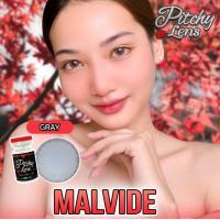 ราคา คอนแทคเลนส์ รุ่น Malvide Maladive สีเทา สีตาล Gray Brown มีค่าสายตาปกติ 0 00 (17947723892)
