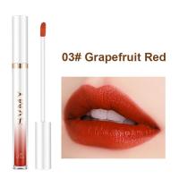 ราคา เครื่องสำอางลิปสติกเคลือบกันน้ำเหลว SVMY แบบเหลวคงทนแต่งหน้ามีเม็ดสีสูง (21563671835)