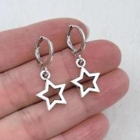ราคา Star Earrings Fashion Earrings Tremella Earrings Womens Earrings Gift Jewelry (22118013827)
