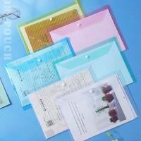 ราคา แฟ้มเอกสาร A4 แบบกระดุม แฟ้มกระดุม ซองใส่เอกสาร พร้อมส่งในไทย เครื่องเขียน แฟ้มซองพลาสติก (22269536719)