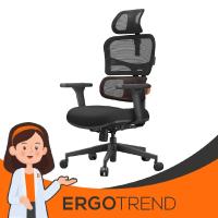 Ergotrend เก้าอี้เพื่อสุขภาพ รุ่น Hesse