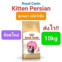 ราคา Royal Canin Persian Adult 10kg Exp 06 25 Royal Canin Kitten Persian 10kg Exp 05 25 แมวโต ลูกแมว เปอร์เซีย ถุง 10 กก (16495440152)