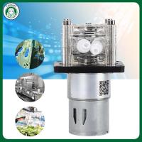 ราคา ราคาถูกสุด การไหลขนาดใหญ่ Peristaltic ปั๊มคุณภาพสูง Metering Large Flow Peristaltic Pump PUMP สำหรับ Aquarium ห้องปฏิบัติการ 500 มิลลิลิตร นาที (2149494425)