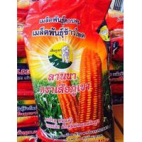 ราคา เมล็ดพันธุ์ข้าวโพดเลี้ยงสัตว์เสือภูเขา ขนาด 10 กก พร้อมส่งด่วน (12451957188)