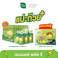 ราคา ฟรี แฟ้มสุดคิวท์ HandyHerb Ener G เอนเนอร์ พลัส จี ใบแป๊ะก๊วยพลัส ชาเขียวสกัด กลิ่นองุ่นไชน์มัสเเคท แบบช็อต 1 แพ็ค 6 ขวด เเละแบบกัมมี่ 1 กล่อง 6 ซอง (22273693153)