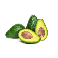 ราคา 1 ต้น อะโวคาโด ต้นสูง 80 ซม ขึ้นไป ทาบกิ่ง (22098729978)