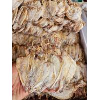 ราคา หมึกผ่าขาว A6 น้ำหนัก 500 กรัม สินค้าใหม่ตรงปก (22020098899)