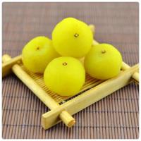 ราคา พร้อมส่ง มะขามป้อมแช่อิ่ม มะขามป้อม ผลไม้อบแห้ง มะเขือเทศราชินีอบแห้ง ขนม ผลไม้ ขนมทางเล่น อาหาร อบกรอบ ผลไม้แช่อิ่ม (22211393370)