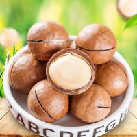 ราคา แมคคาเดเมียอบ500กรัม Macadamia พร้อมทาน แมคคาเดเมียอบ แมคคาเดเมียอบธรรมชาติ ถั่วแมคคาเดเมีย ถั่ว (22149767597)