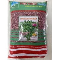 ราคา เมล็ดผักชี พันธุ์ผักชี ผักชีต้นใหญ่ 1 กิโลกรัม งอกดี ทนโรค (22176496479)