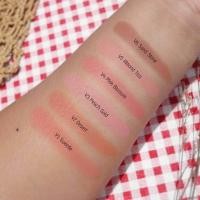 ราคา ใหม่ล่าสุด Ver 88 SILKY POWDER BLUSH ver 88 บลัชออน (16392865063)