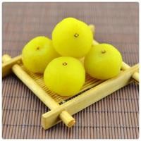 ราคา พร้อมส่ง มะขามป้อมแช่อิ่ม มะขามป้อม ผลไม้อบแห้ง มะเขือเทศราชินีอบแห้ง ขนม ผลไม้ ขนมทางเล่น อาหาร อบกรอบ ผลไม้แช่อิ่ม (22211393369)