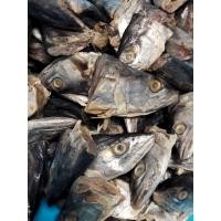 ราคา หัวปลาอินทรีย์เค็มหอม 1000 1200กรัม ราคา35 ซื้อ5แถม2 ขายถูกมาก ทอดกรอบอร่อยมาก (22241529974)