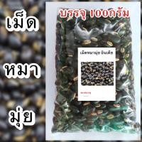 ราคา เม็ดหมามุ่ยอินเดีย เม็ดหมามุ่ย หมามุ่ย (22061686014)