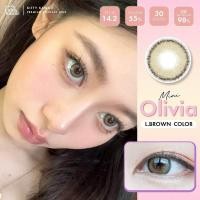 ราคา คอนแทคเลนส์ ขนาดมินิ Brown Light brown Mini Olivia kittykawaii (17741407370)