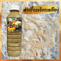 ราคา หัวเชื้อเห็ดระโงกเหลือง เข้มข้น100 เห็ดระโงก เห็ดเผาะ เห็ดตับเต่า เห็ดไคล 180มล พร้อมเอกสารปลูก (22044230258)
