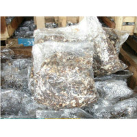 ราคา เห็ดฟางพร้อมเพาะ ทดลองปลูก ชุด10ถุง (22181044551)