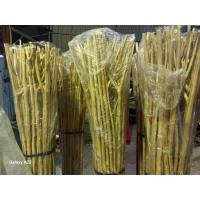 ราคา ไม้ง่ามสีเชลแล็ก (20837403062)