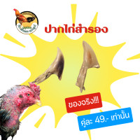 ราคา ปากไก่ชน สวมปากไก่ชน ของจริง ปากไก่สำรองสำหรับสวมทับปากไก่ชนที่แตกหักระหว่างชน (21905156425)