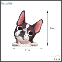 ราคา liujinpeng สติกเกอร์ติดรถยนต์ลายการ์ตูนสำหรับสัตว์เลี้ยง (22094748159)