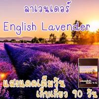 ราคา เมล็ด พันธุ์ น ำ เข้า Lavender ลาเวนเดอร์ 50เมล็ด (21956200790)