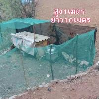 ราคา อวนล้อมไก่ ตาข่ายล้อมไก่ ตาข่าย อวน สีฟ้า ขนาดสูง1 1 5 2เมตร ยาว10เมตร แถมเชือก20เมตร ตาข่ายกันนก ตาข่ายกั้นนก ตาข่ายล้อมไก่ กรงไก่ (22014962023)