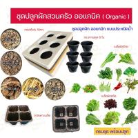 ราคา ชุดปลูกผักสวนครัวออแกนิค ผักออแกนิค ชุดปลูกผักแบบพร้อมปลูก เมล็ดผัก ผักสวนครัว (21895774050)